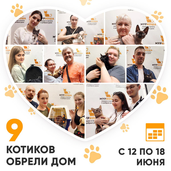Итоги работы Adoption центра с 12 по 18 июня 2023г.