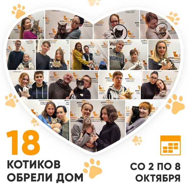 Итоги работы Центра со 2 по 8 октября 2023г.