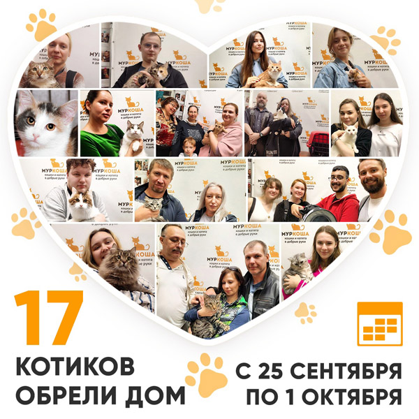 Итоги работы Центра с 25 сентября по 1 октября 2023г. 