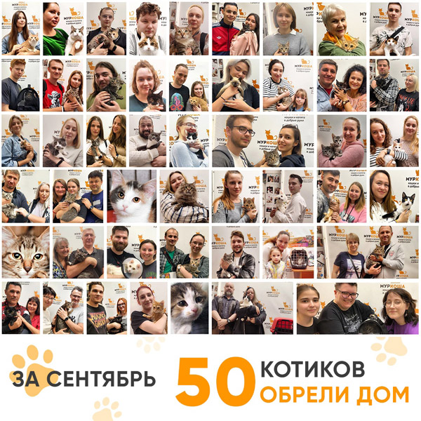 Итоги работы Центра в сентябре 2023 года.