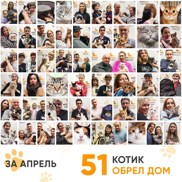 Итоги работы Adoption центра в апреле 2023 года.
