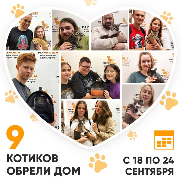 Итоги работы Центра с 18 по 24 сентября 2023г. 