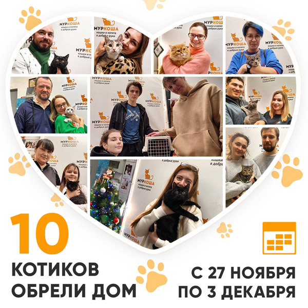Итоги работы Центра с 27 ноября по 3 декабря 2023г.