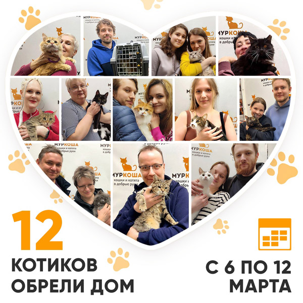 Итоги работы Adoption центра с 6 по 12 марта 2023г.