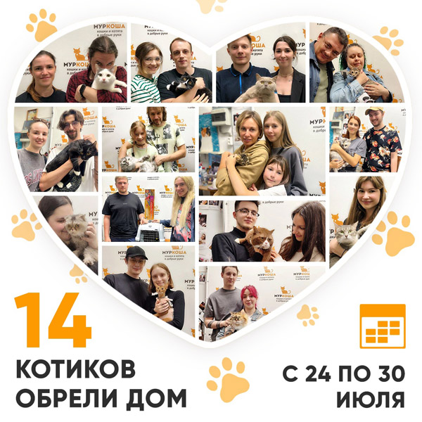 Итоги работы Adoption центра с 24 по 30 июля 2023г.