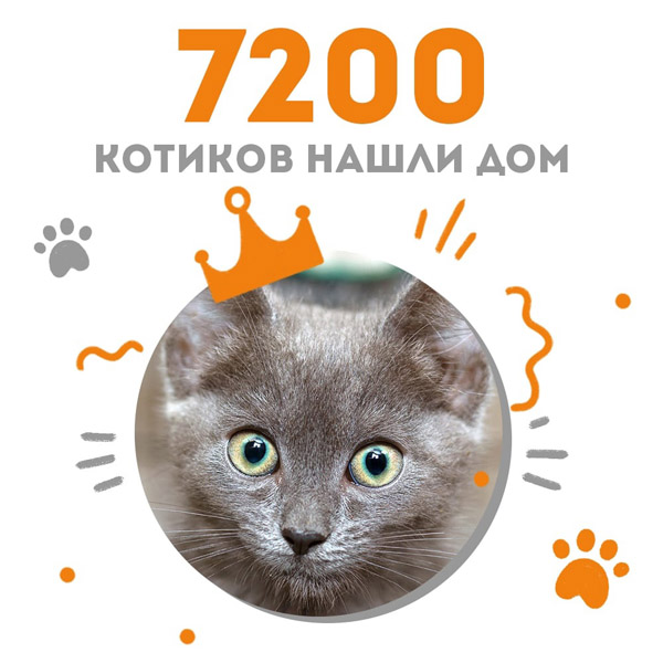 Котенок Марая стала 7200-ой выпускницей adoption центра "Муркоша"!