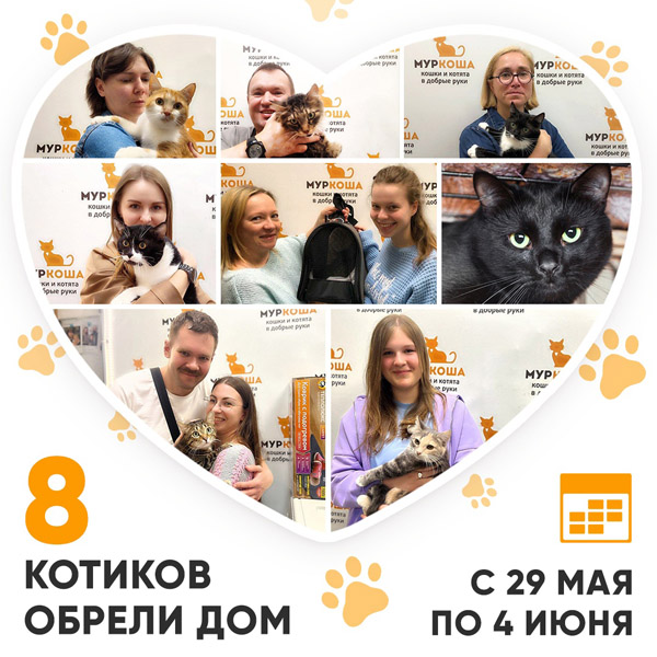 Итоги работы Adoption центра с 29 мая по 4 июня 2023г.