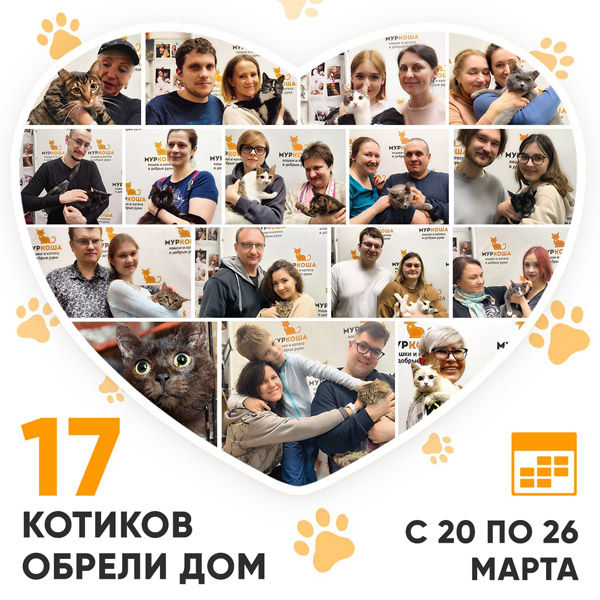 Итоги работы Adoption центра с 20 по 26 марта 2023г.