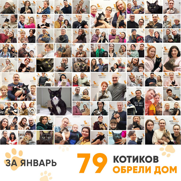 Итоги работы Adoption центра в январе 2023 года. 