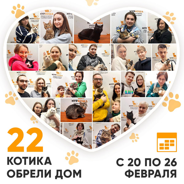 Итоги работы Adoption центра с 20 по 26 февраля 2023г.