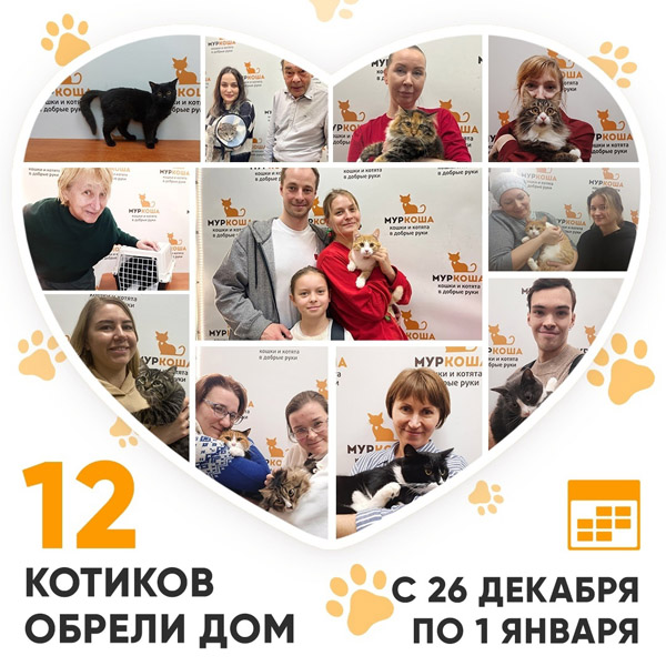 Итоги работы Adoption центра с 26 декабря 2022г. по 1 января 2023г.