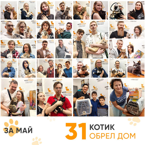 Итоги работы нашего Adoption центра в мае 2023 года.
