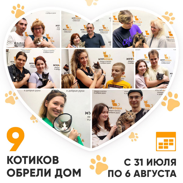 Итоги работы Adoption центра с 31 июля по 6 августа 2023г.
