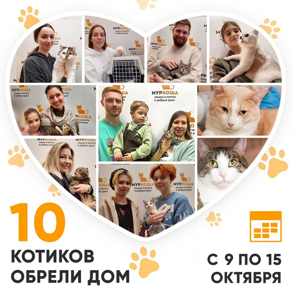 Итоги работы Центра с 9 по 15 октября 2023г. 