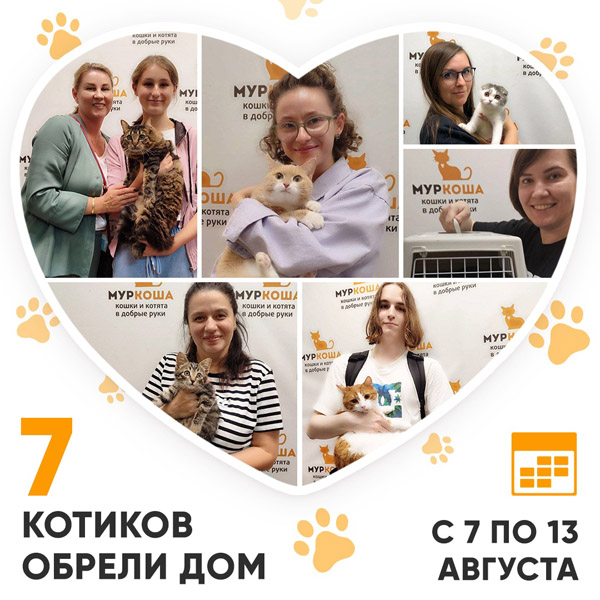 Итоги работы Adoption центра с 7 по 13 августа 2023г. 