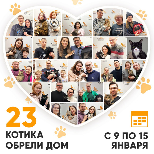Итоги работы Adoption центра с 9 по 15 января 2023г.