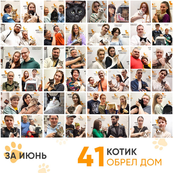 Итоги работы Adoption центра в июне 2023 года.