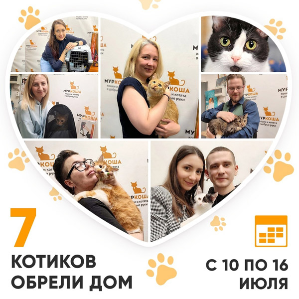 Итоги работы Adoption центра с 10 по 16 июля 2023г.