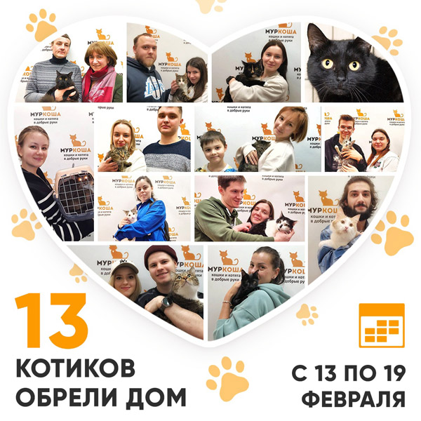 Итоги работы Adoption центра с 13 по 19 февраля 2023г.