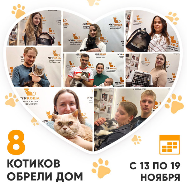 Итоги работы Центра с 13 по 19 ноября 2023г.