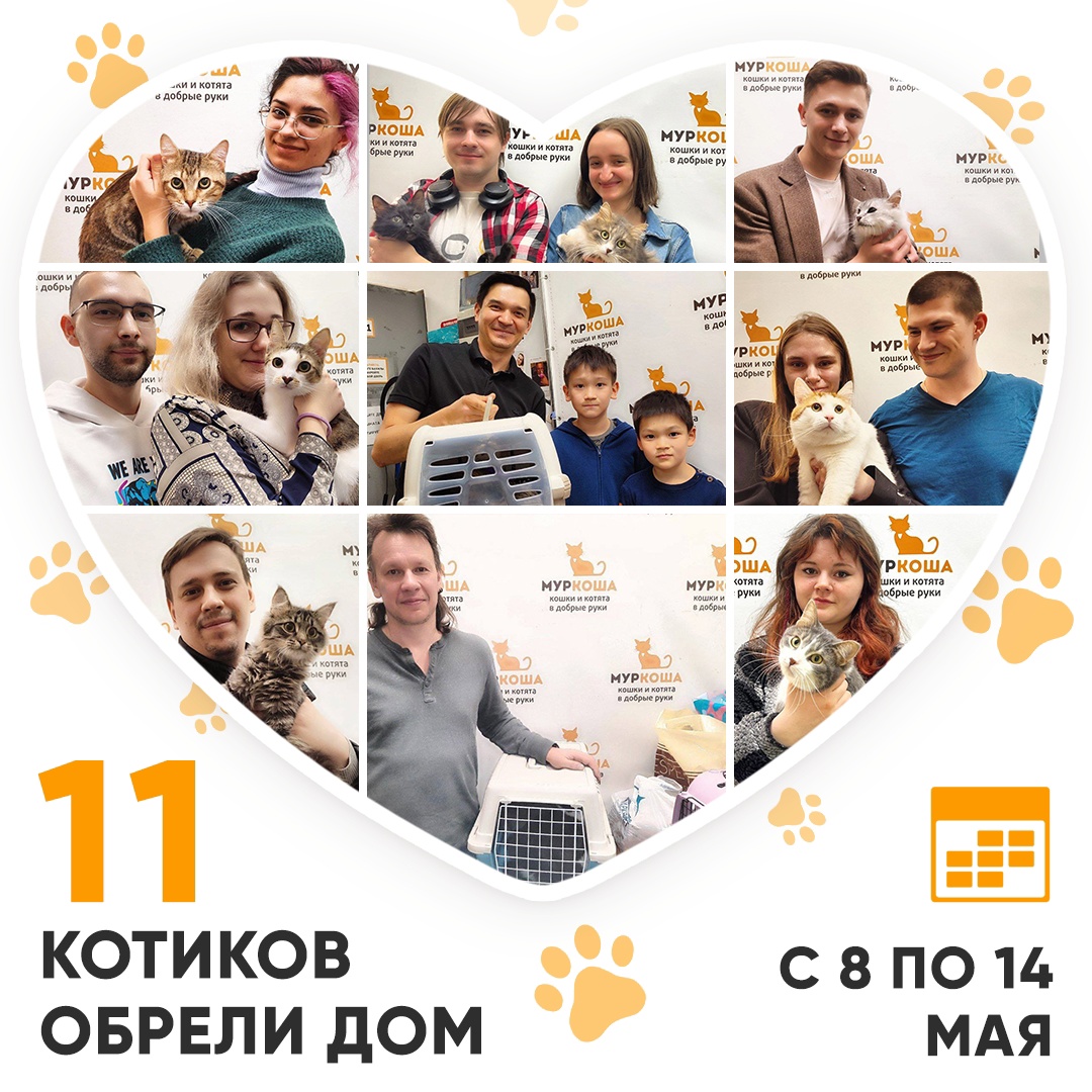 Итоги работы Adoption центра с 8 по 14 мая 2023г.