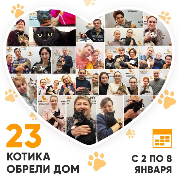 Итоги работы Adoption центра со 2 по 8 января 2023г.