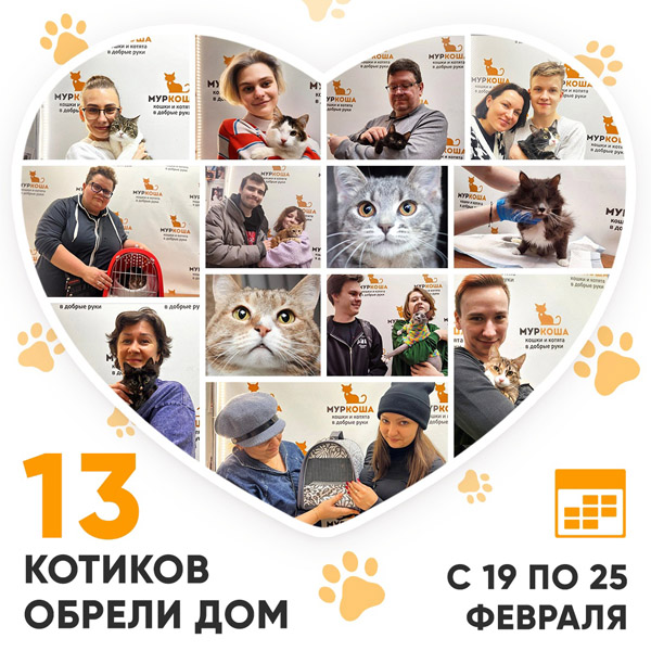 Итоги работы Центра с 19 по 25 февраля 2024г. 