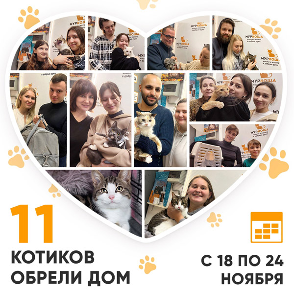 Итоги работы Центра с 18 по 24 ноября 2024г. 