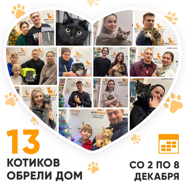 Итоги работы Центра со 2 по 8 декабря 2024г.