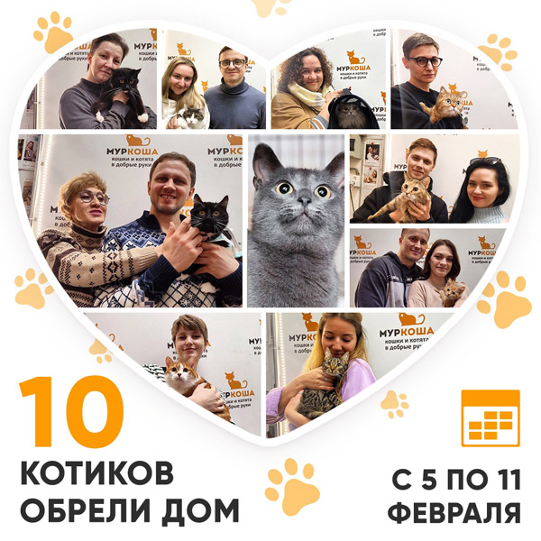 Итоги работы Центра с 5 по 11 февраля 2024г.