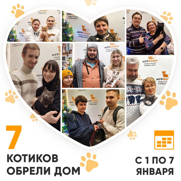 Итоги работы Центра с 1 по 7 января 2024г.