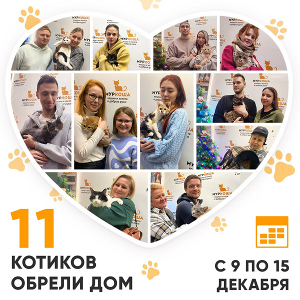 Итоги работы Центра с 9 по 15 декабря 2024г.
