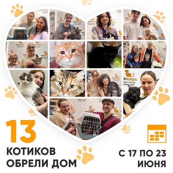 Итоги работы Центра с 17 по 23 июня 2024г.