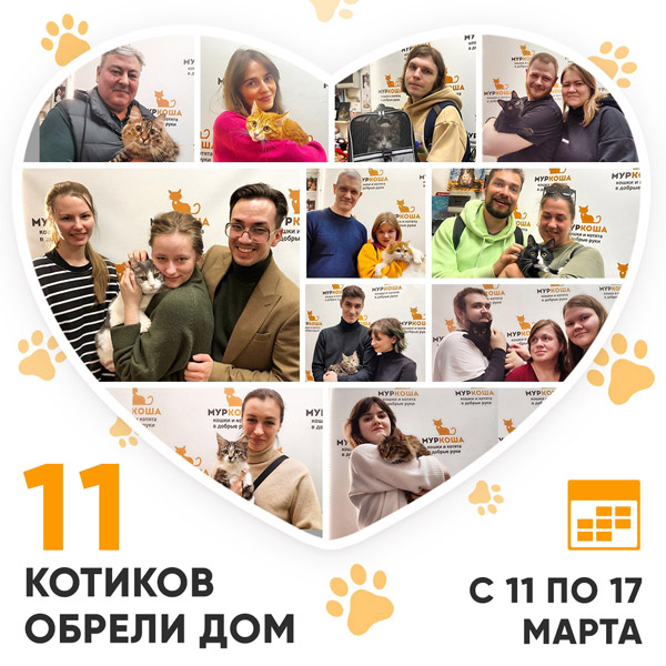 Итоги работы Центра с 11 по 17 марта 2024г.