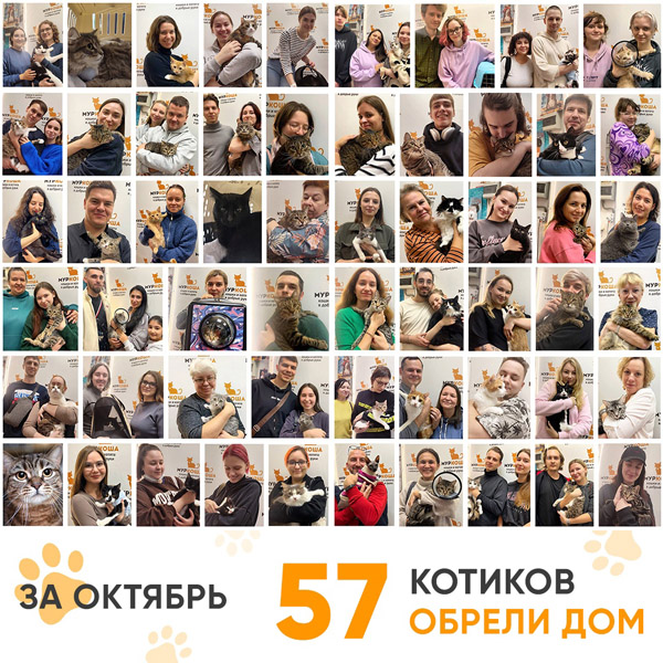Итоги работы нашего Центра в октябре 2024 года.