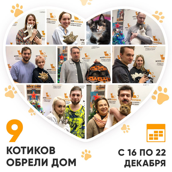 Итоги работы Центра со 16 по 22 декабря 2024г.