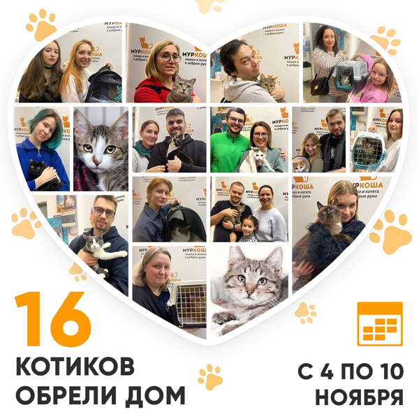 Итоги работы Центра с 4 по 10 ноября 2024г.
