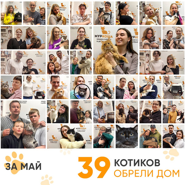 Итоги работы Центра в мае 2024 года.