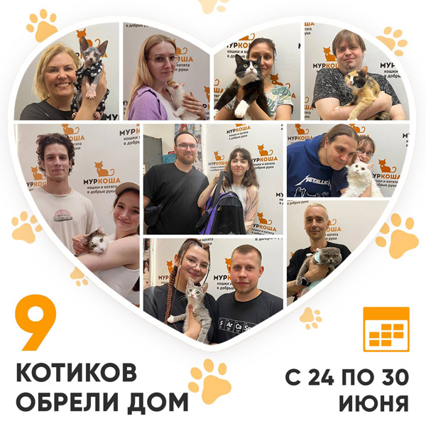 Итоги работы Центра с 24 по 30 июня 2024г.