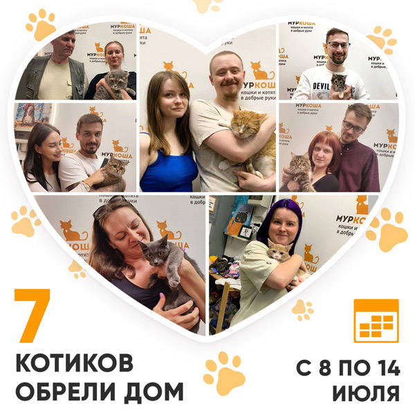 Итоги работы Центра с 8 по 14 июля 2024г. 