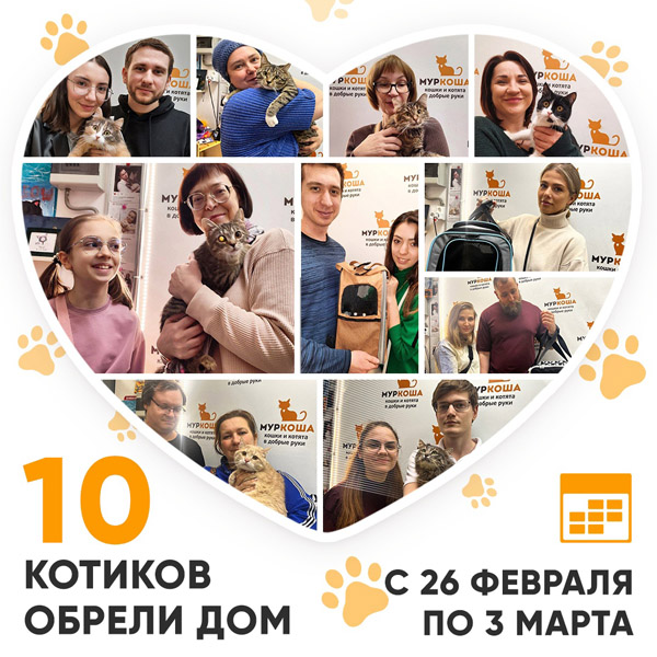Итоги работы Центра с 26 февраля по 3 марта 2024г.