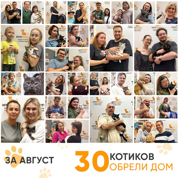 Итоги работы Центра в августе 2024 года.