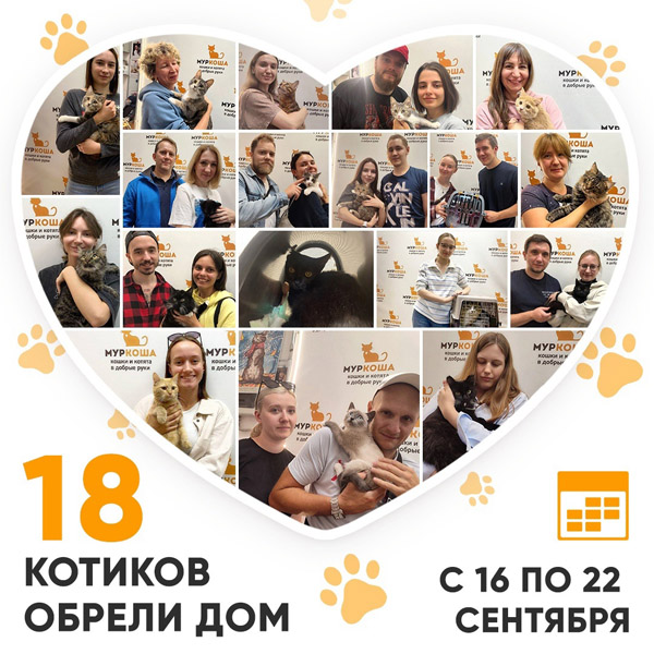 Итоги работы Центра с 16 по 22 сентября 2024г.