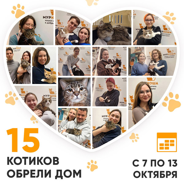 Итоги работы Центра с 7 по 13 октября 2024г. 