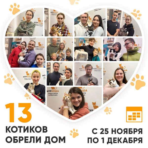 Итоги работы Центра с 25 ноября по 1 декабря 2024г.