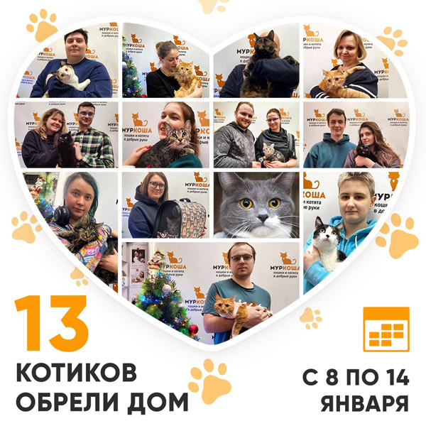Итоги работы Центра с 8 по 14 января 2024г.