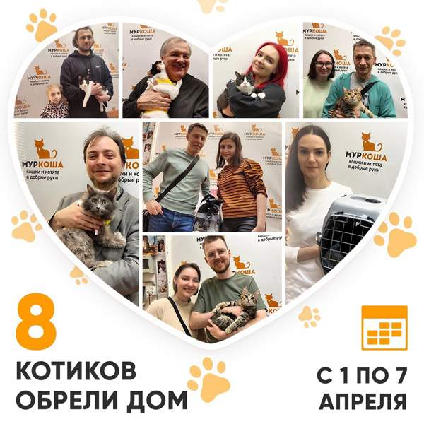 Итоги работы Центра с 1 по 7 апреля 2024г. 