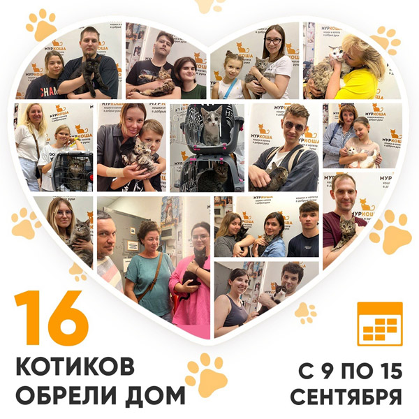 Итоги работы Центра с 9 по 15 сентября 2024г.