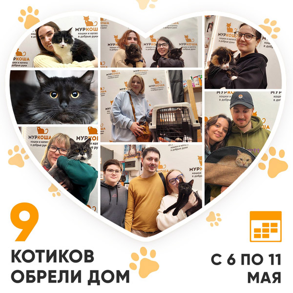 Итоги работы Центра с 6 по 11 мая 2024г.
