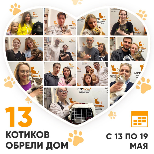 Итоги работы Центра с 13 по 19 мая 2024г.